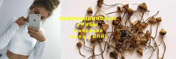 спайс Няндома