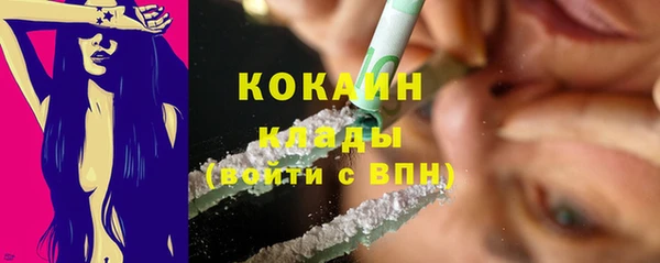 мдпв Осташков