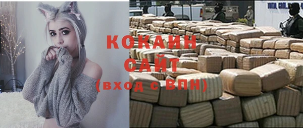 мдпв Осташков