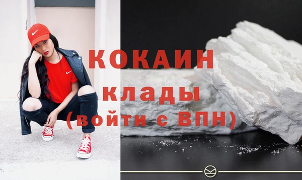 спайс Няндома