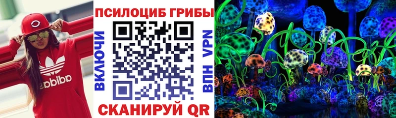 закладки Тавда дарк нет официальный сайт Галлюциногенные грибы Psilocybine cubensis