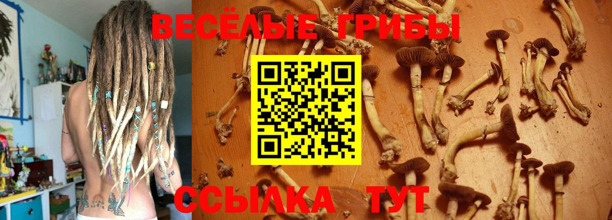 Галлюциногенные грибы мухоморы Тавда